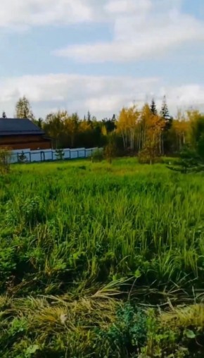 ДП Родной в Березовском - berezovskij.yutvil.ru