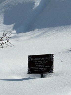 ДП Родной в Березовском - berezovskij.yutvil.ru - фото 11