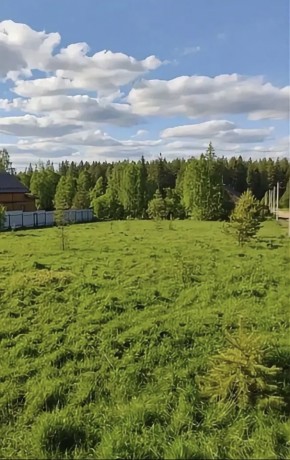 ДП Родной в Березовском - berezovskij.yutvil.ru - фото 4