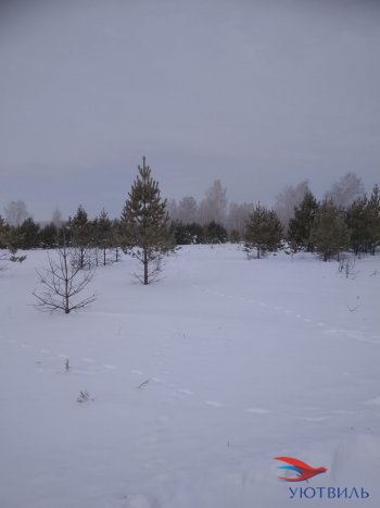 Земельный участок поселок Баженово в Березовском - berezovskij.yutvil.ru - фото 5
