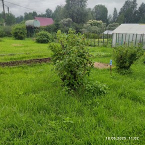 г Верхняя пышма, СНТ Мираж, уч.№ 99 в Березовском - berezovskij.yutvil.ru - фото 11