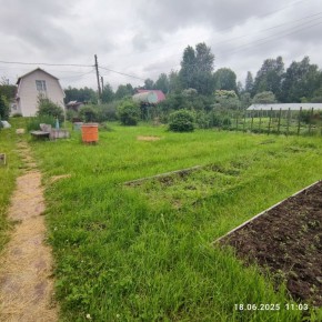 г Верхняя пышма, СНТ Мираж, уч.№ 99 в Березовском - berezovskij.yutvil.ru - фото 13