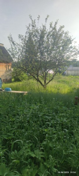 г Верхняя пышма, СНТ Мираж, уч.№ 99 в Березовском - berezovskij.yutvil.ru - фото 19