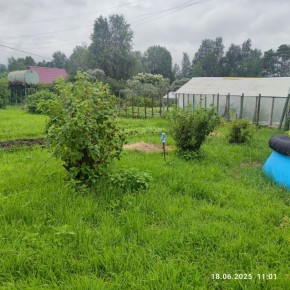 г Верхняя пышма, СНТ Мираж, уч.№ 99 в Березовском - berezovskij.yutvil.ru - фото 22