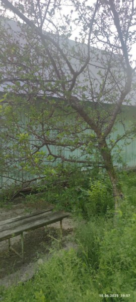 г Верхняя пышма, СНТ Мираж, уч.№ 99 в Березовском - berezovskij.yutvil.ru - фото 26