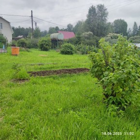 г Верхняя пышма, СНТ Мираж, уч.№ 99 в Березовском - berezovskij.yutvil.ru - фото 8