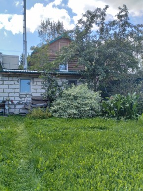 Коллективный сад номер 7, участок 58 в Березовском - berezovskij.yutvil.ru - фото 21