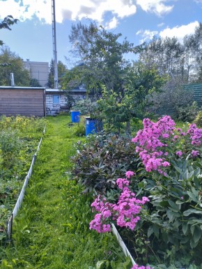 Коллективный сад номер 7, участок 58 в Березовском - berezovskij.yutvil.ru - фото 23