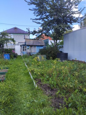 Коллективный сад номер 7, участок 58 в Березовском - berezovskij.yutvil.ru - фото 25