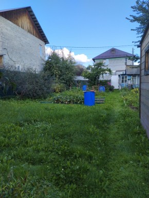 Коллективный сад номер 7, участок 58 в Березовском - berezovskij.yutvil.ru - фото 26