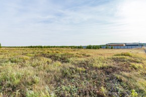 Российская Федерация, Свердловская область, Сысертский городской округ, территория садоводческого некоммерческого товарищества Бобровские дачи, улица Каштановая, земельный участок № 38 в Березовском - berezovskij.yutvil.ru - фото 24