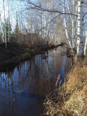 СНТ Берёзка в Березовском - berezovskij.yutvil.ru - фото 14