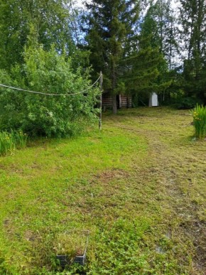 СНТ Калининец-10, уч. 1-11-3 в Березовском - berezovskij.yutvil.ru - фото 6 СНТ Калининец-10, уч. 1-11-3 в Березовском - berezovskij.yutvil.ru - фото 6