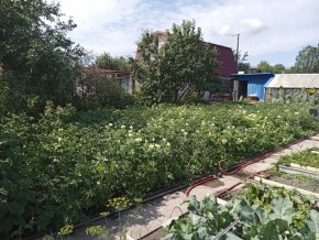 СНТ Медик-2 в Березовском - berezovskij.yutvil.ru - фото 6