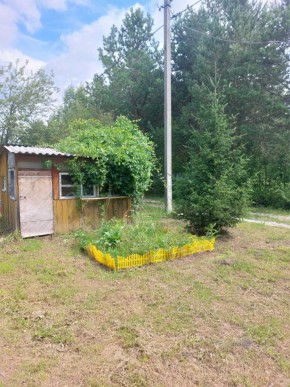 СНТ Родники в Березовском - berezovskij.yutvil.ru - фото 2