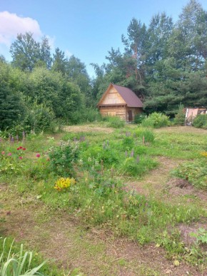 СНТ Родники в Березовском - berezovskij.yutvil.ru - фото 3