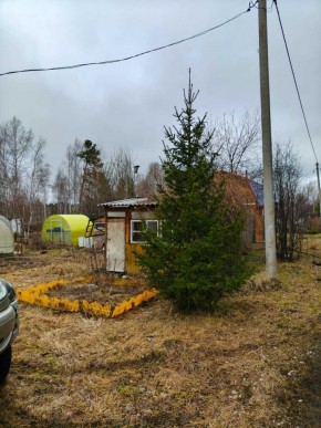 СНТ Родники в Березовском - berezovskij.yutvil.ru - фото 5