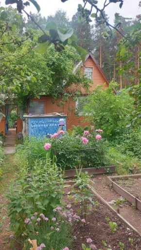 СНТ Садовод-24 в Березовском - berezovskij.yutvil.ru