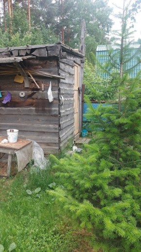 СНТ Садовод-24 в Березовском - berezovskij.yutvil.ru - фото 13
