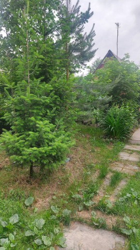 СНТ Садовод-24 в Березовском - berezovskij.yutvil.ru - фото 15