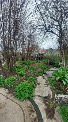 СНТ Сирень, уч. 38 в Березовском - berezovskij.yutvil.ru - фото 7