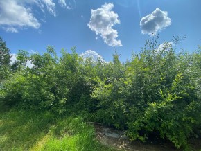 СПК Юбилейный, уч. 9 в Березовском - berezovskij.yutvil.ru - фото 9