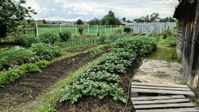 ул. 8-е Марта,46 в Березовском - berezovskij.yutvil.ru - фото 5