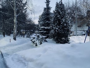 ул. 8 Марта,7 в Березовском - berezovskij.yutvil.ru - фото 20 ул. 8 Марта,7 в Березовском - berezovskij.yutvil.ru - фото 20