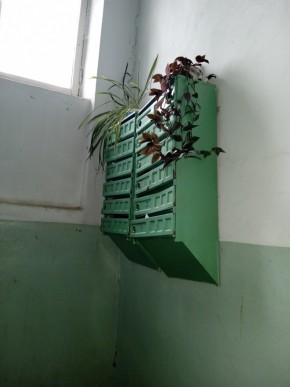 ул. Бажова,11 в Березовском - berezovskij.yutvil.ru - фото 2