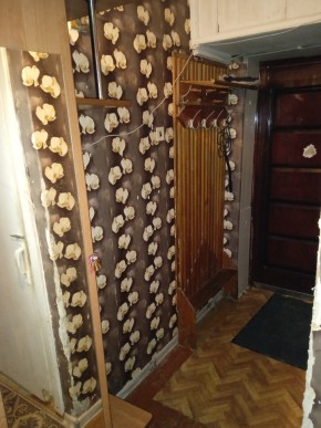 ул. Бажова,11 в Березовском - berezovskij.yutvil.ru - фото 9