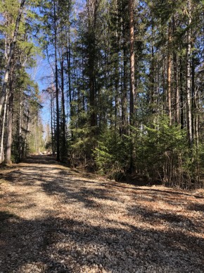 ул. Калиновая,9 в Березовском - berezovskij.yutvil.ru - фото 2 ул. Калиновая,9 в Березовском - berezovskij.yutvil.ru - фото 2