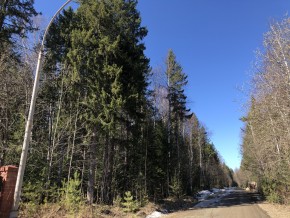 ул. Калиновая,9 в Березовском - berezovskij.yutvil.ru - фото 4 ул. Калиновая,9 в Березовском - berezovskij.yutvil.ru - фото 4