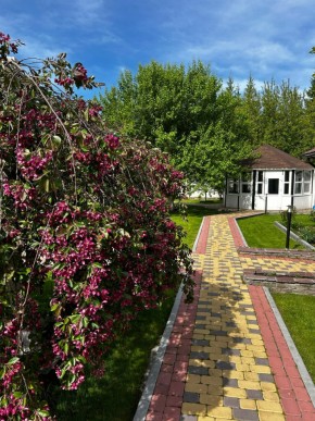 ул. Первомайская,220 в Березовском - berezovskij.yutvil.ru - фото 2