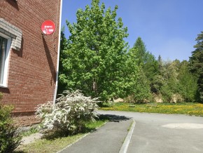 ул. Сосновая, 8 в Березовском - berezovskij.yutvil.ru - фото 25 ул. Сосновая, 8 в Березовском - berezovskij.yutvil.ru - фото 25