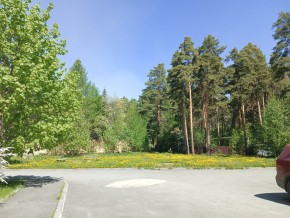 ул. Сосновая, 8 в Березовском - berezovskij.yutvil.ru - фото 26 ул. Сосновая, 8 в Березовском - berezovskij.yutvil.ru - фото 26