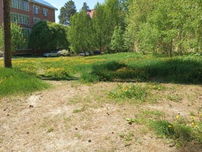 ул. Сосновая, 8 в Березовском - berezovskij.yutvil.ru - фото 33 ул. Сосновая, 8 в Березовском - berezovskij.yutvil.ru - фото 33