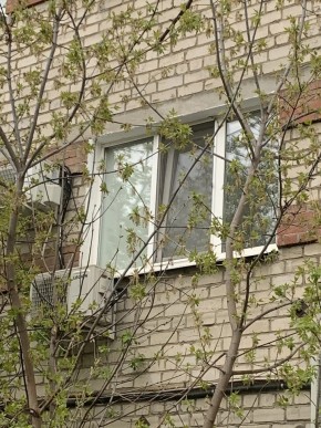 ул. Таганская,8 в Березовском - berezovskij.yutvil.ru - фото 14