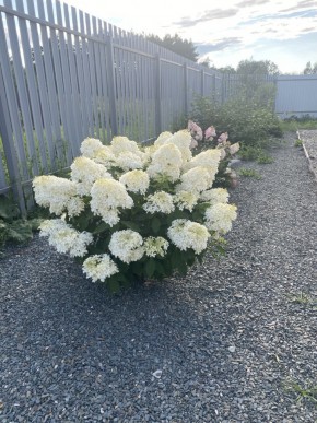 ул. Весенняя,12 в Березовском - berezovskij.yutvil.ru - фото 20